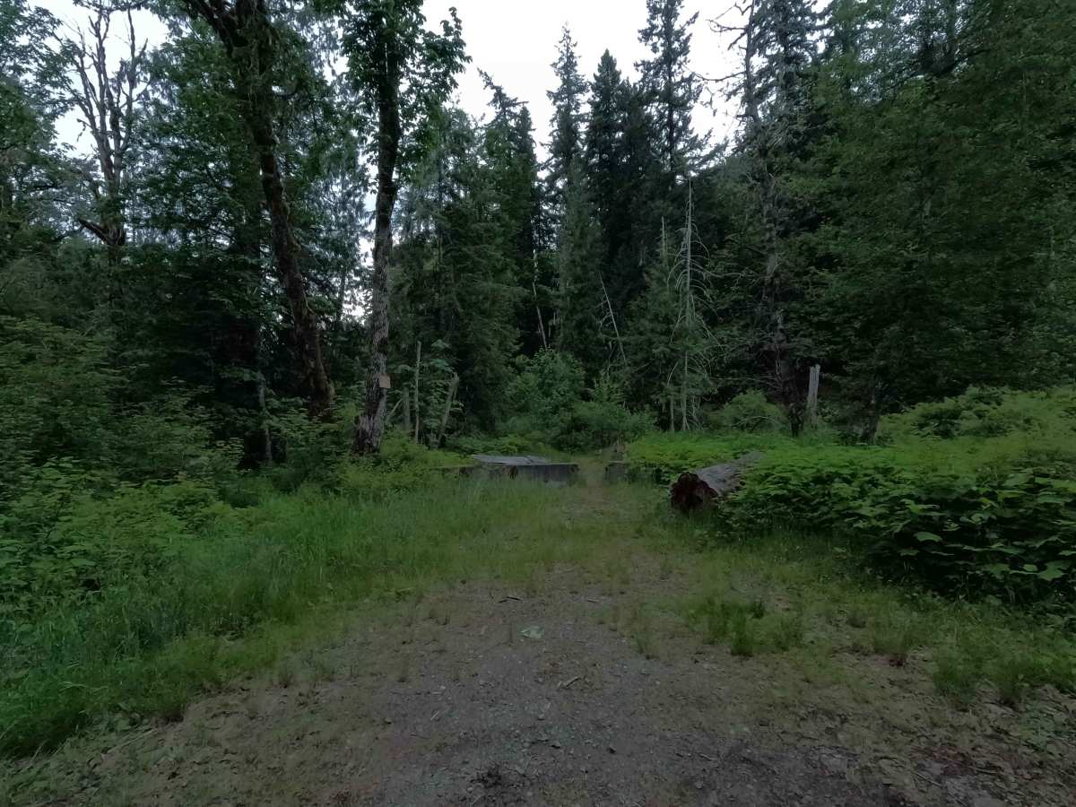 North Side Sauk River - FS 22 photo 4