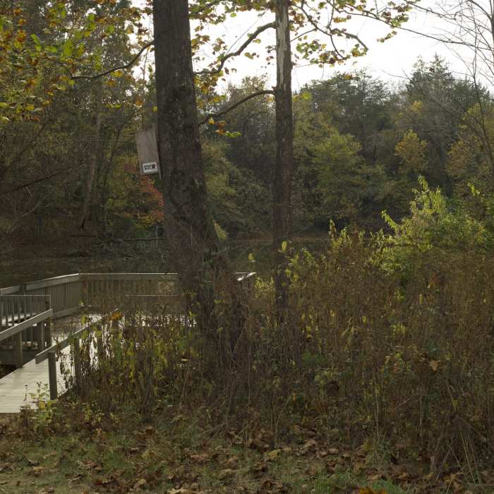 Near Upland Trail Outer Loop