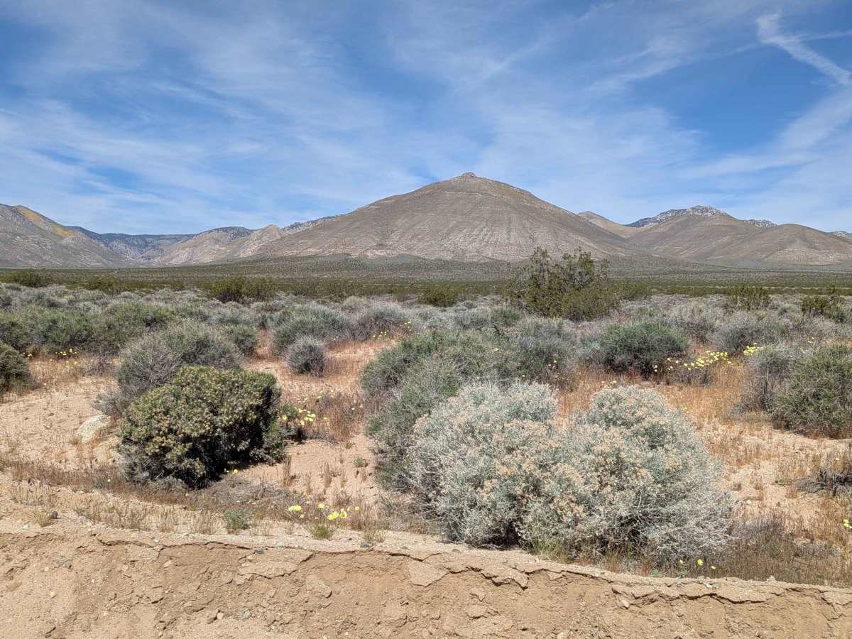 BLM LA1 Highway 178 South photo 5