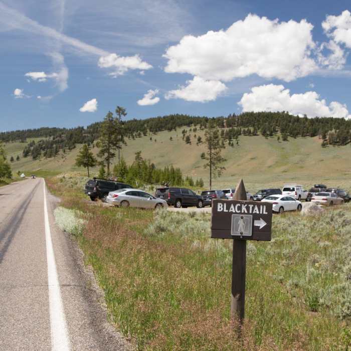 Near Black Canyon of the Yellowstone