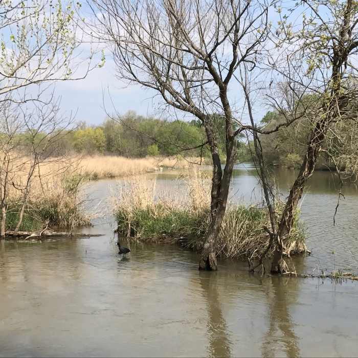 Near Crosstimbers Trail