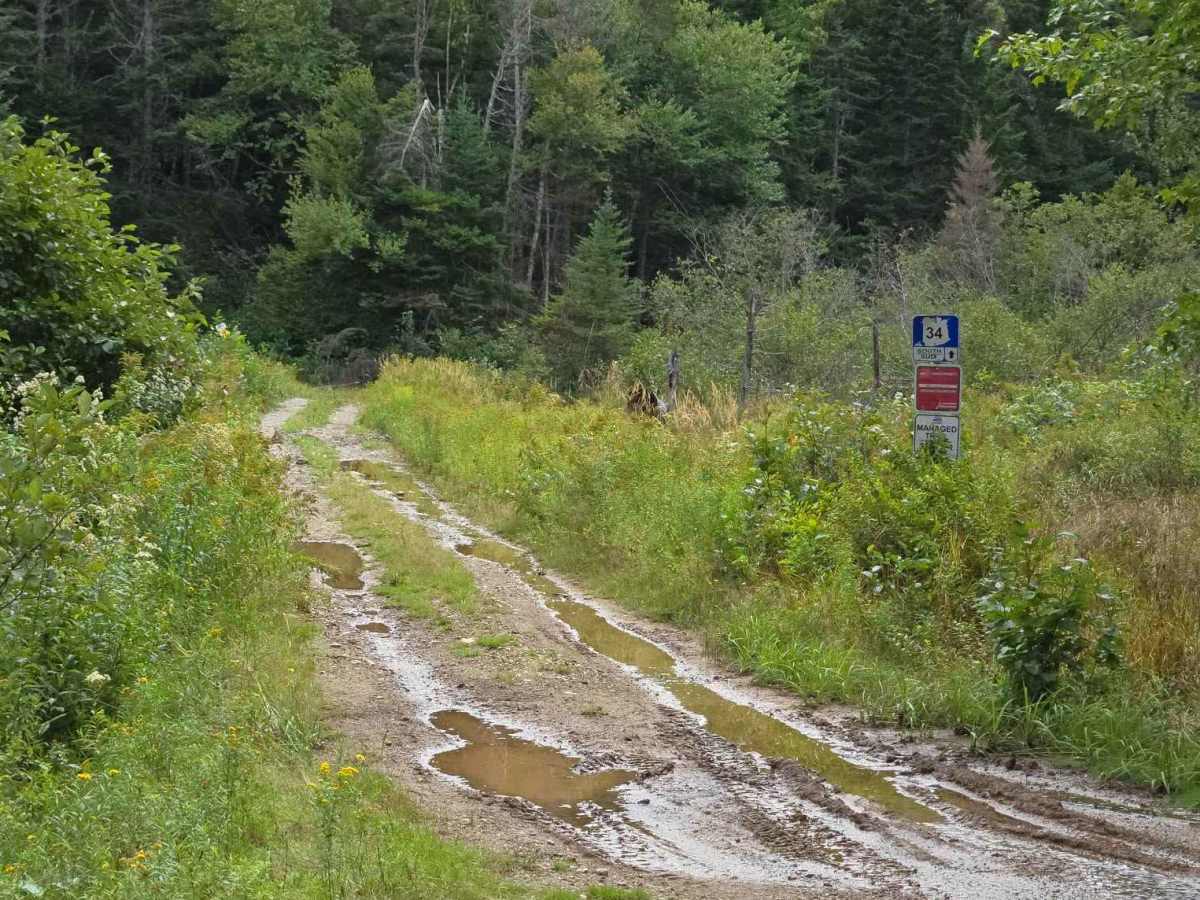 Stuart Mountain Extension trail photo