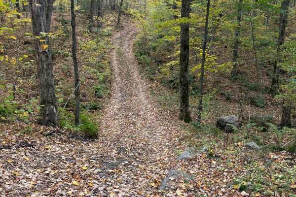 Porkey Lake Loop