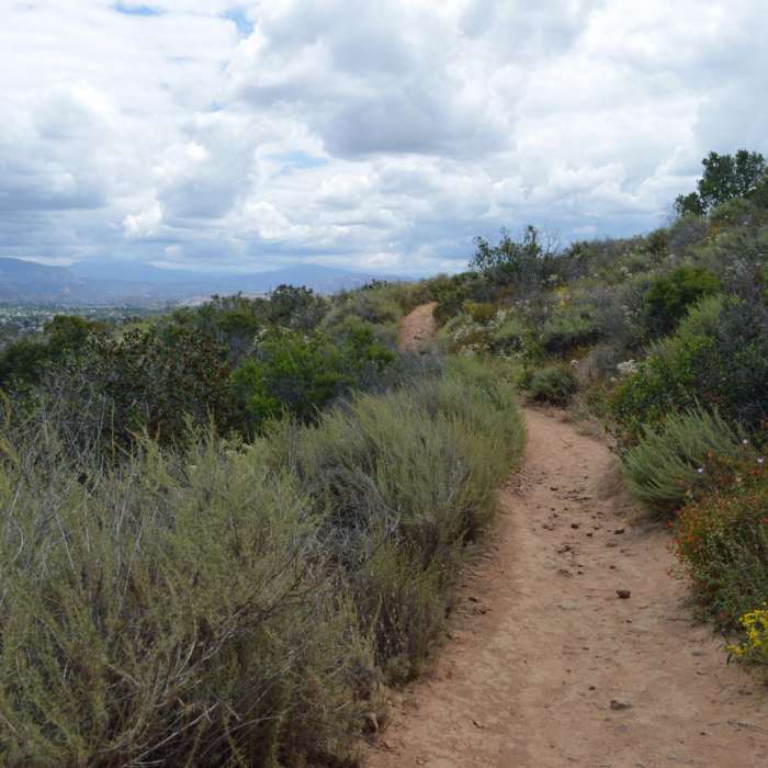 Near Kwaay Paay Peak Trail