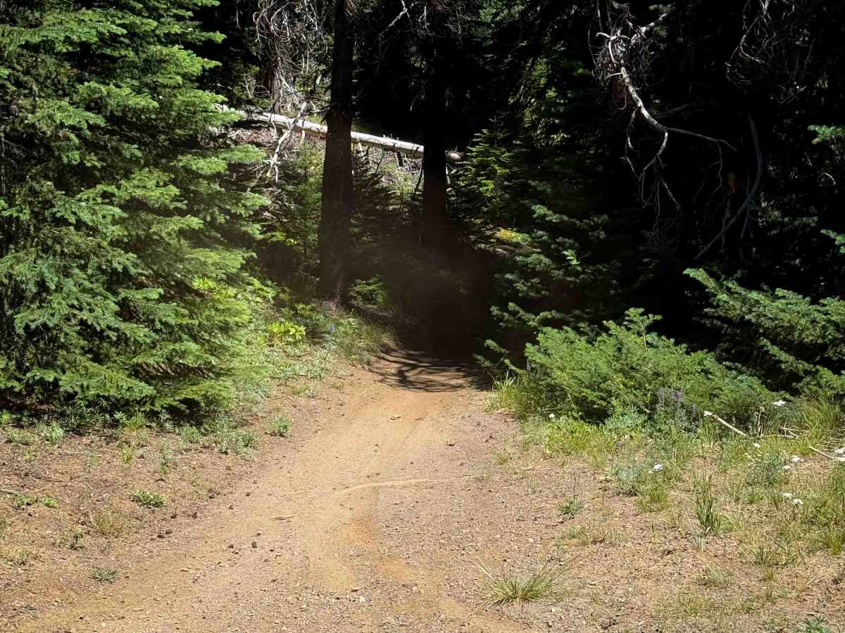 Shoestring Lake - FS 1385 photo 6