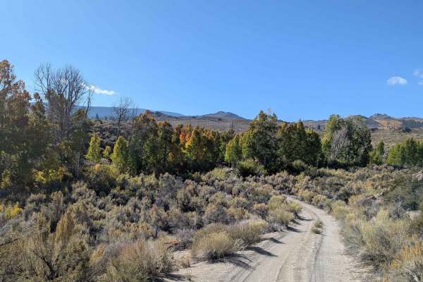 North Canyon / Baxter Road - FS 1S15A
