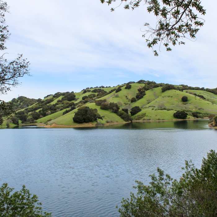 Near Briones Reservoir Loop Trail