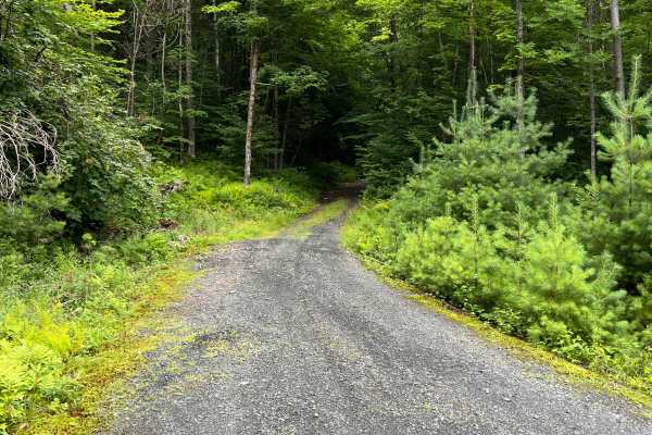 Turnpike Road