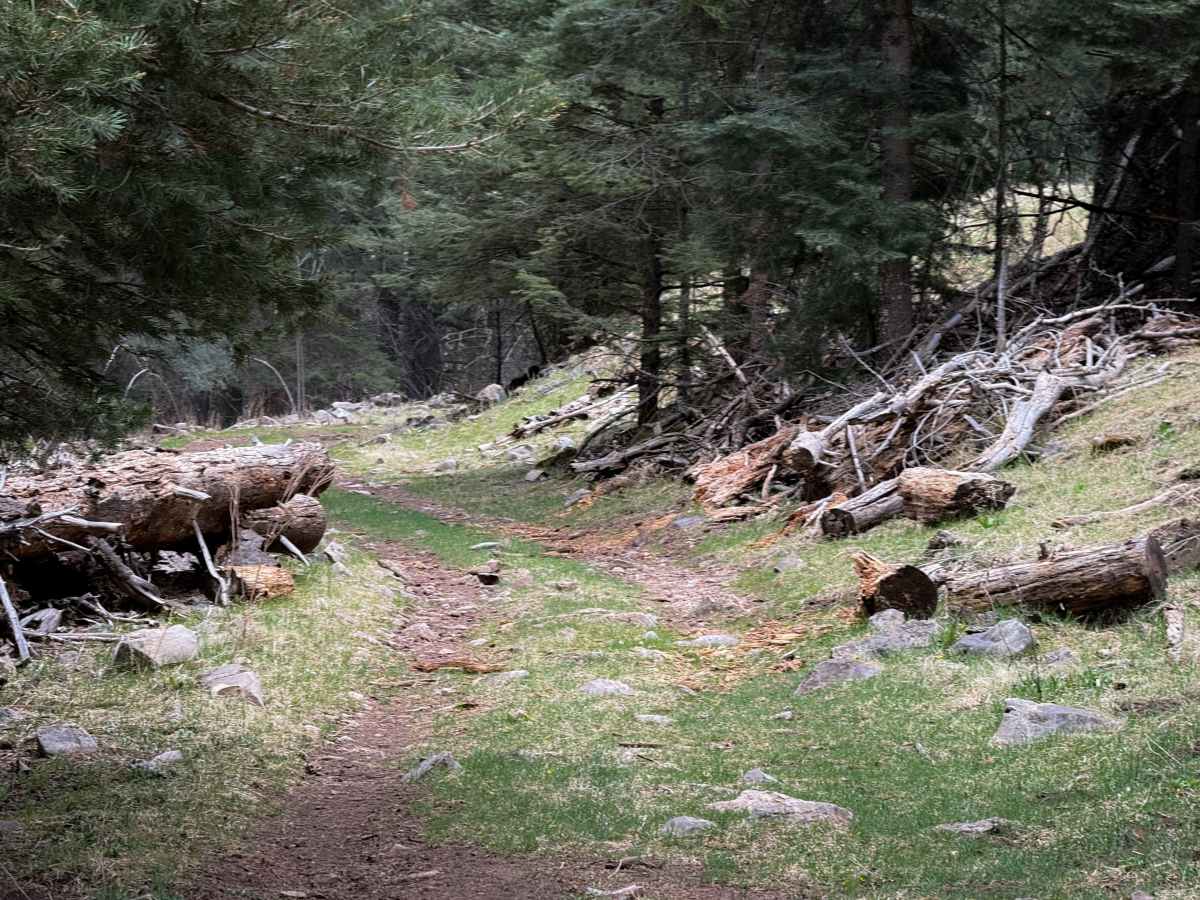 Hubbell Canyon- FS 9277 photo 4