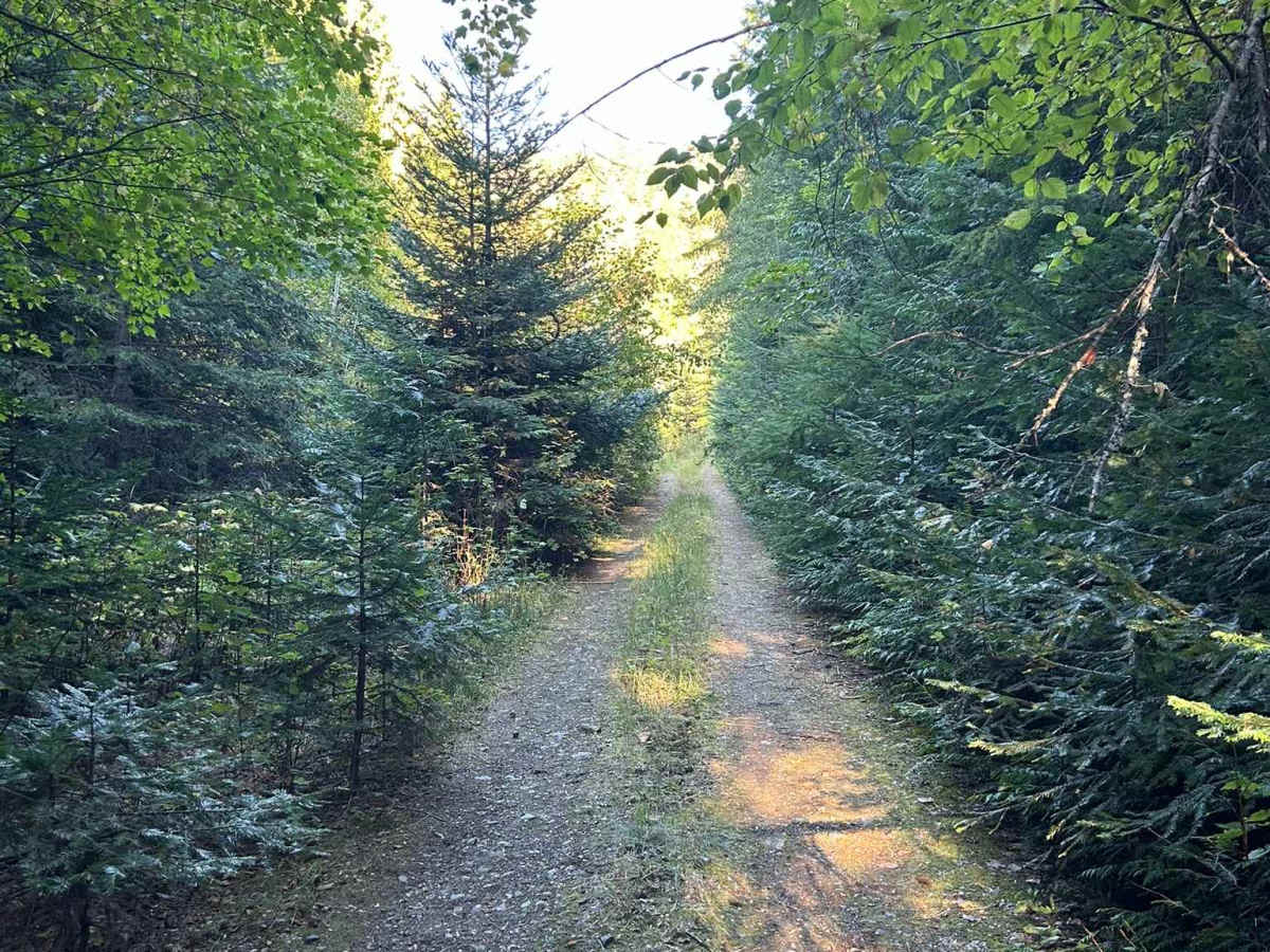 Hoteling Creek C - FS 73680  photo 4