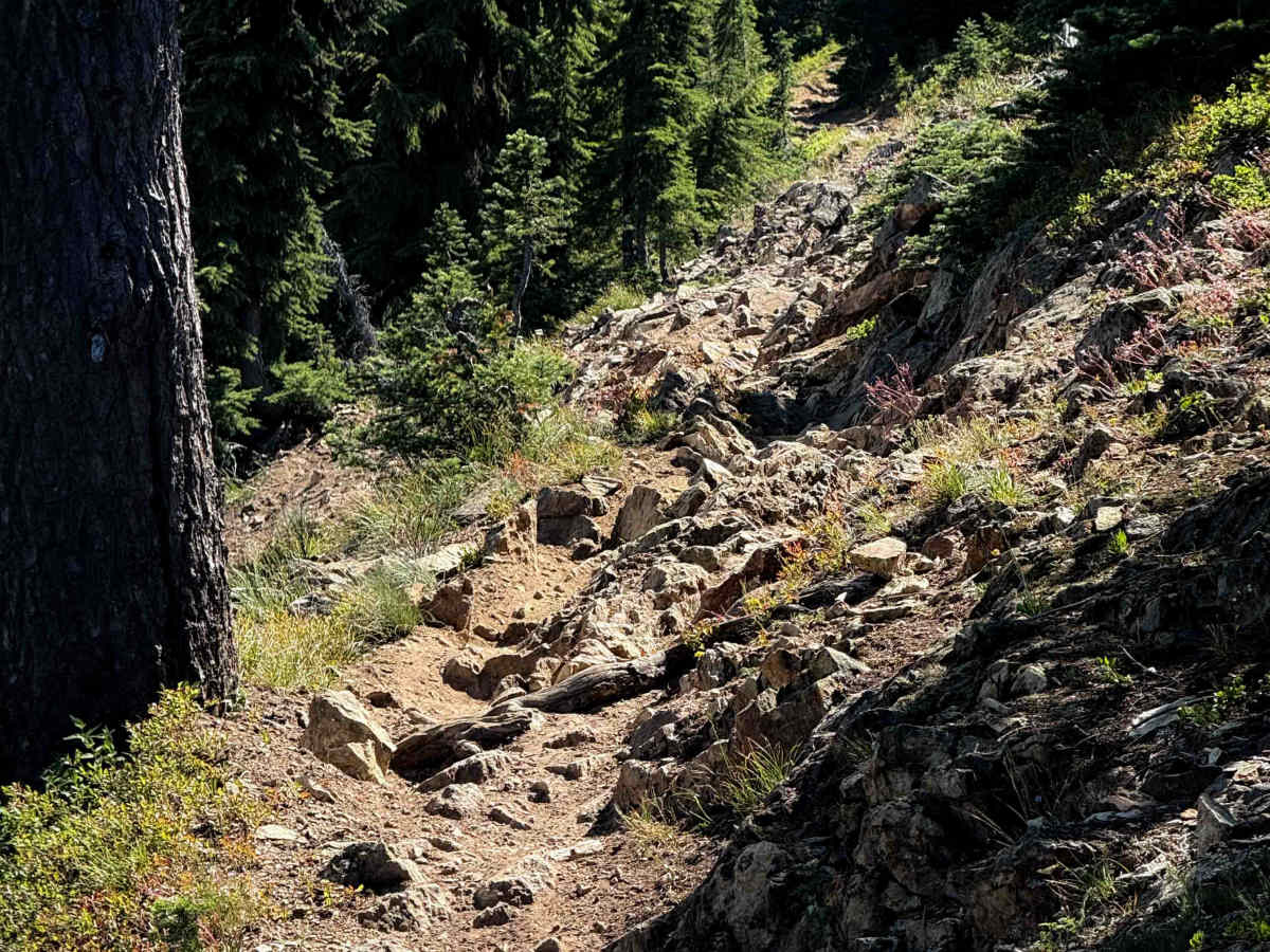 Upper Mount Clifty - FS 1321.1  photo 6