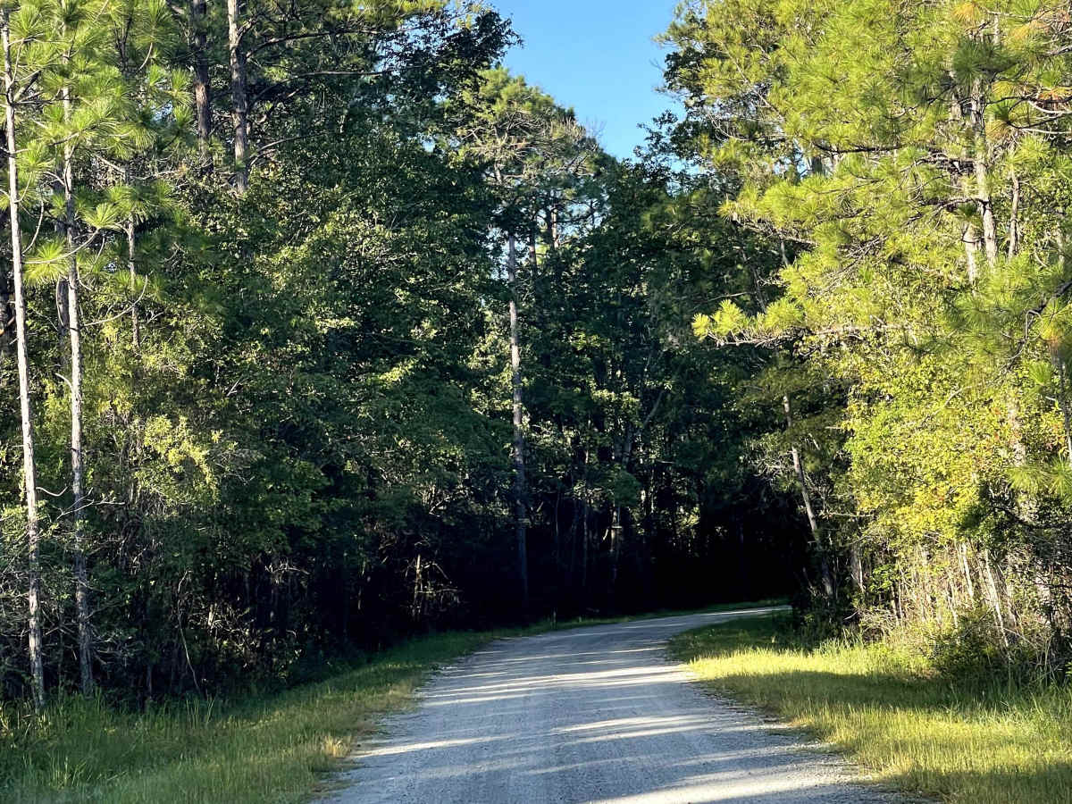 Sunset Drive photo 4