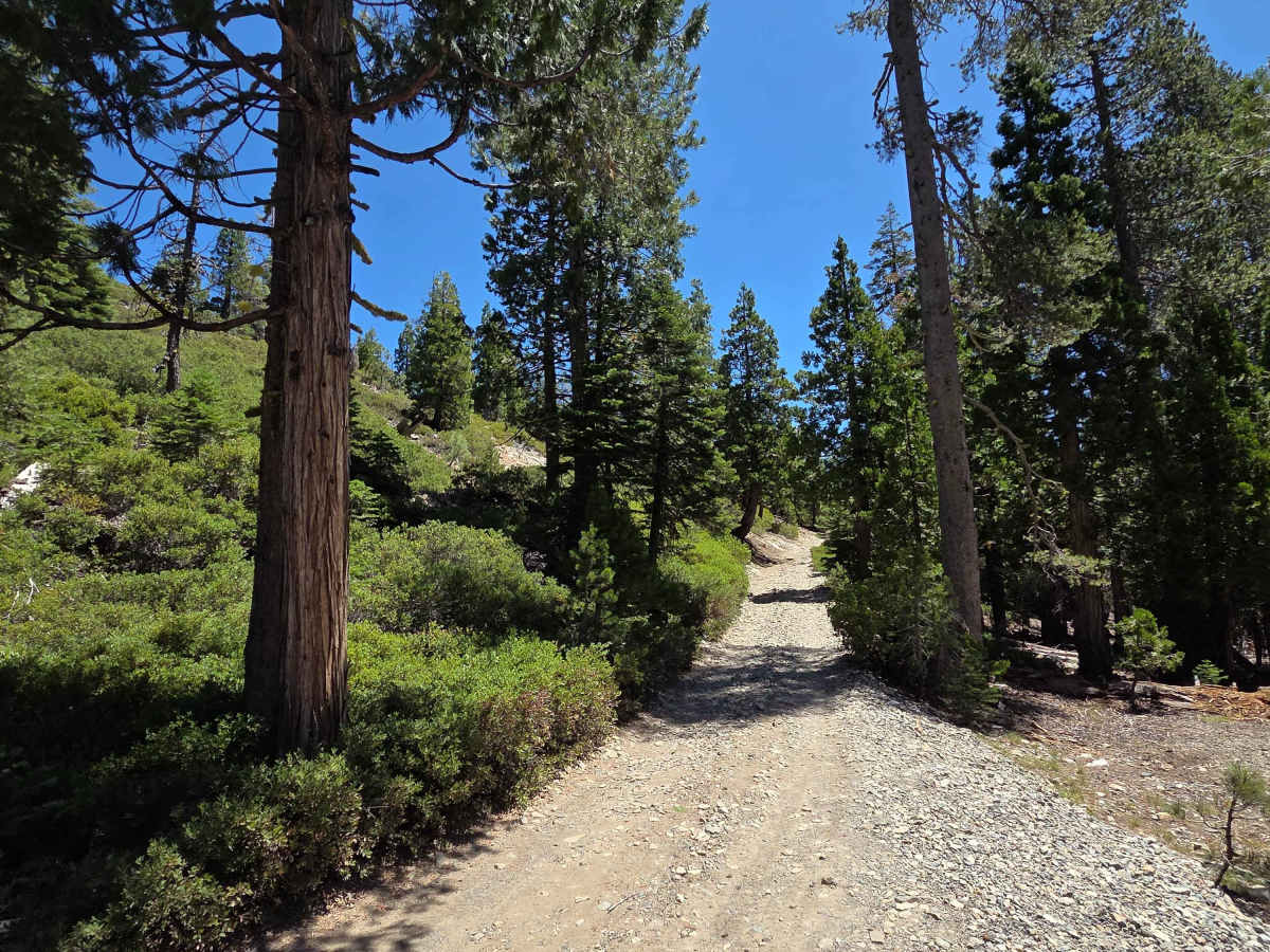 Sawmill Lake photo 6