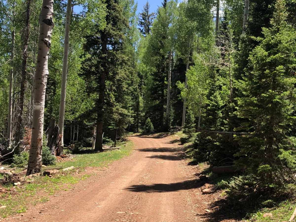Sage Valley Road photo 4