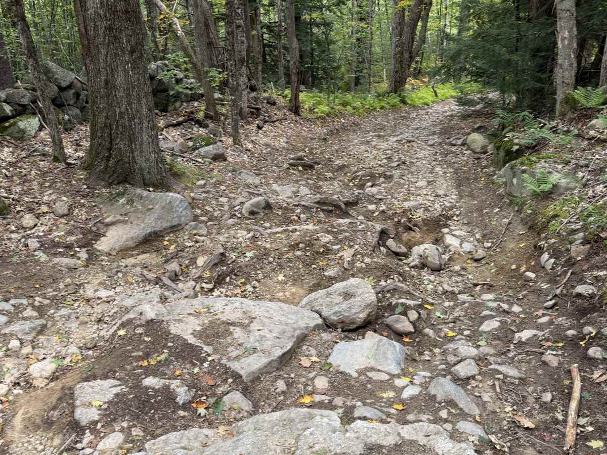 Homestead Road - East trail photo