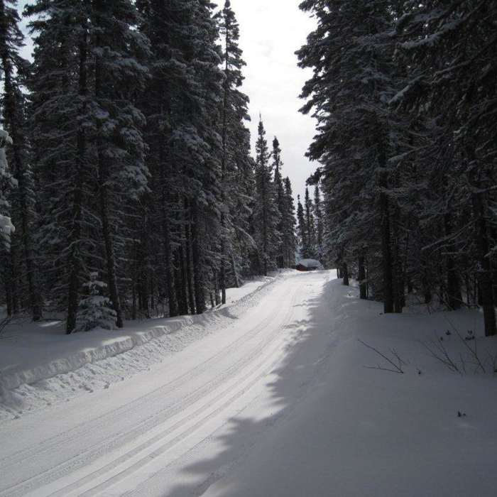 Near Snowshoe Route #4