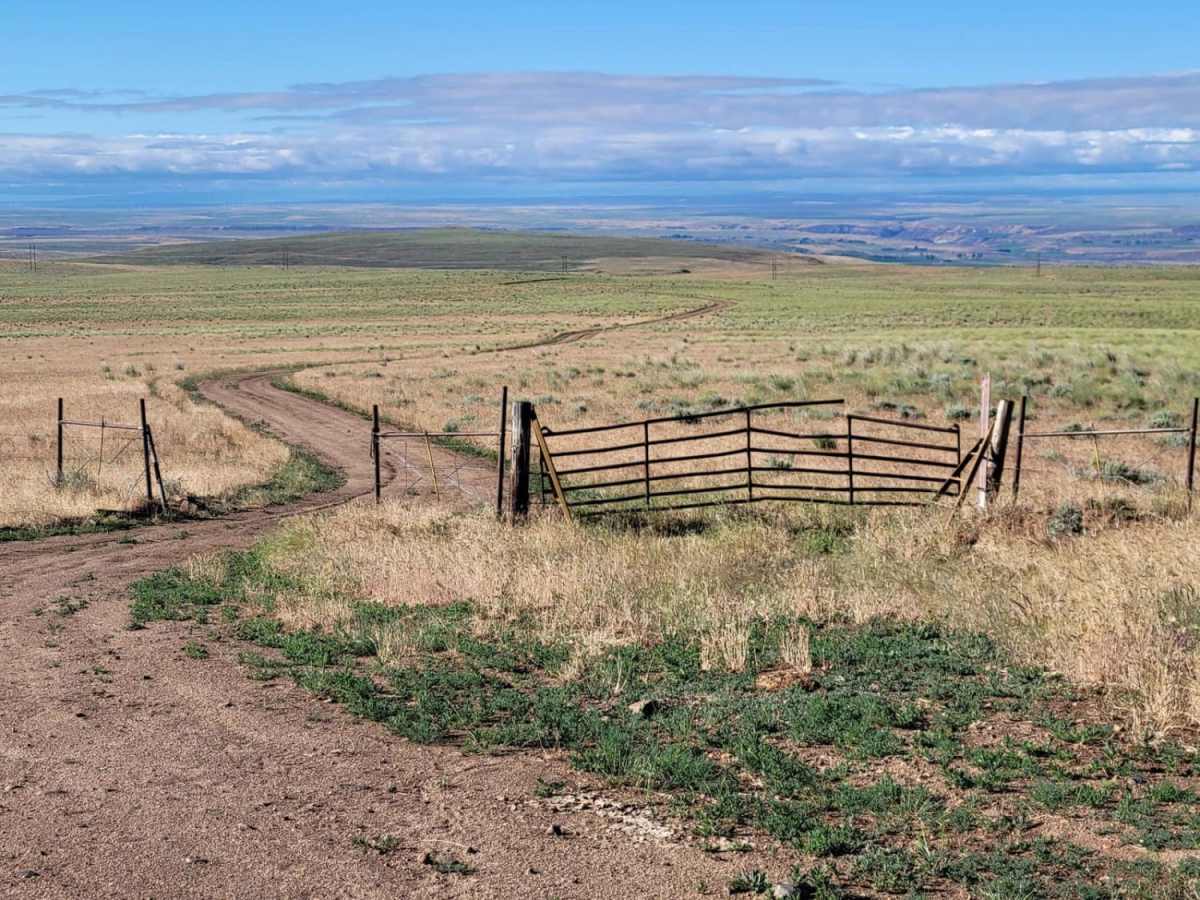 Dempsey Meadow trail photo