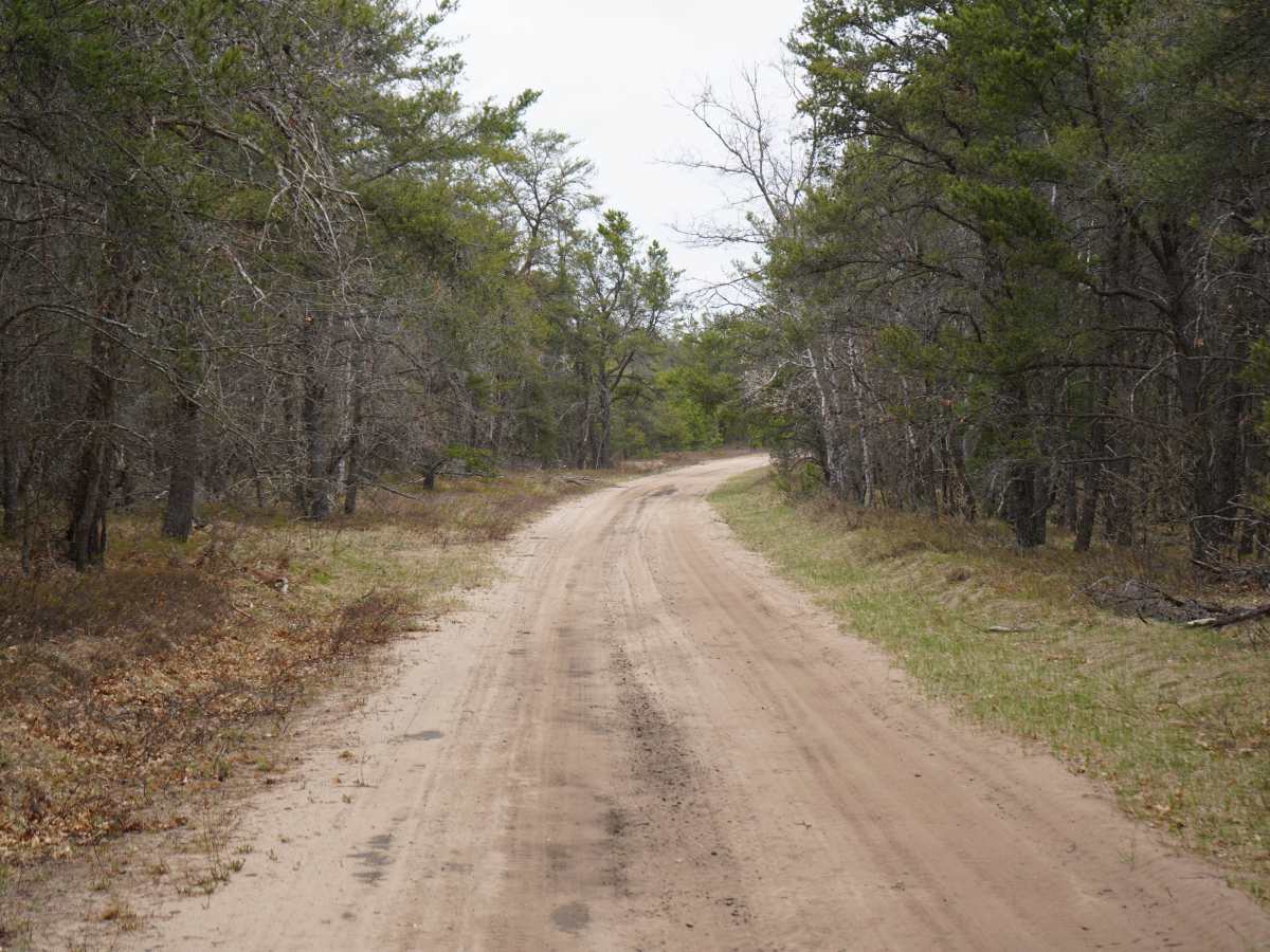Deyarmond Valley Road photo 2