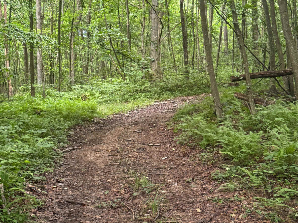 Trail 58 photo 4