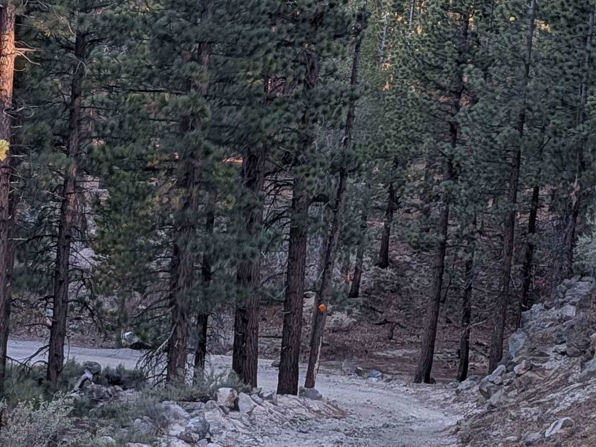 Deadman Loop FS2S25 trail photo
