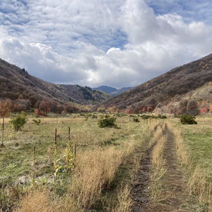 Near Narrow Canyon