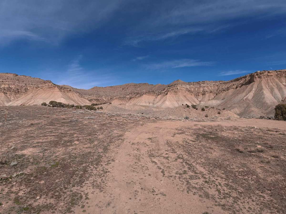 BLM 124 photo 3