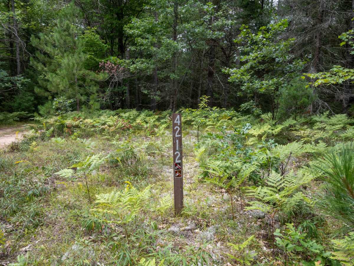 FS 4212 trail photo