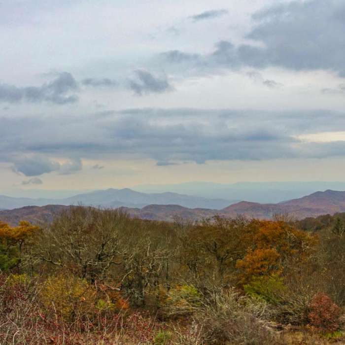 Near Joyce Kilmer-Slickrock Wilderness Loop Near Joyce Kilmer-Slickrock Wilderness Loop