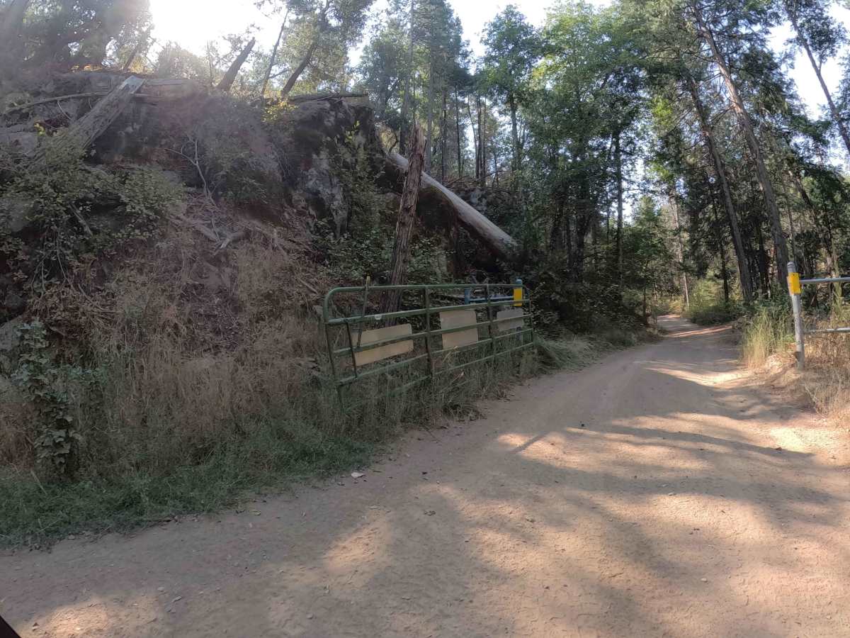 Ponderosa Fire Line - Lower - FS 6S017 trail photo