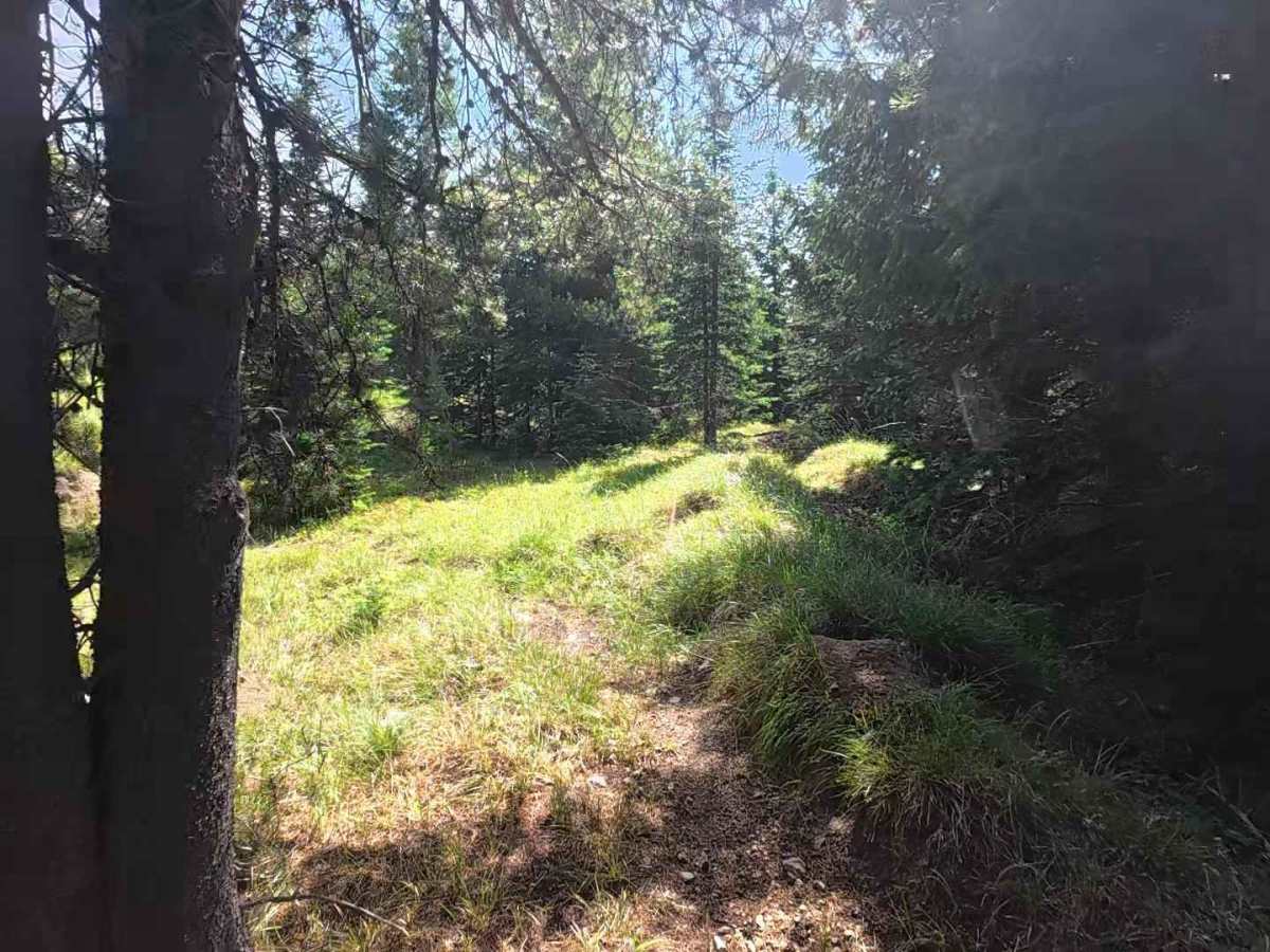 Cross Country East - FS 510 photo 3