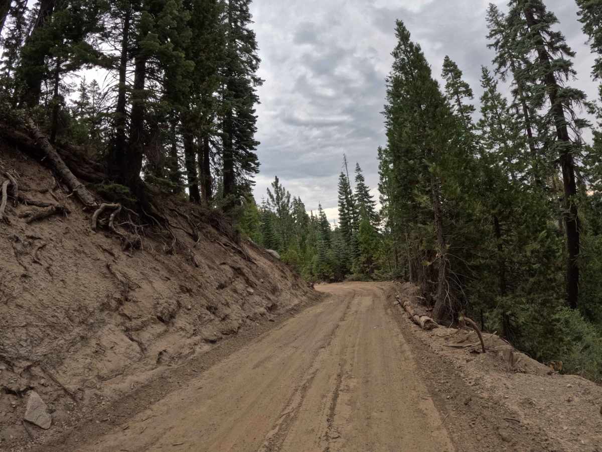 Mark - FS 21N83 trail photo