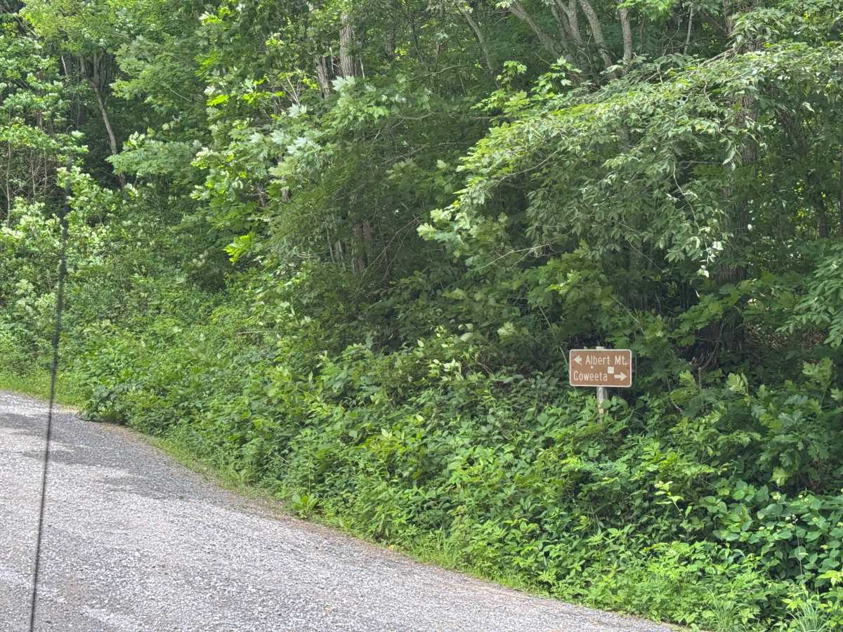 Upper Nantahala - FS 67 trail photo