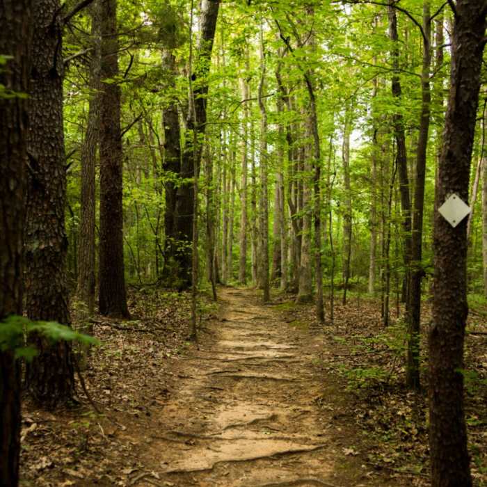 Near Bald Eagle Trail Near Bald Eagle Trail