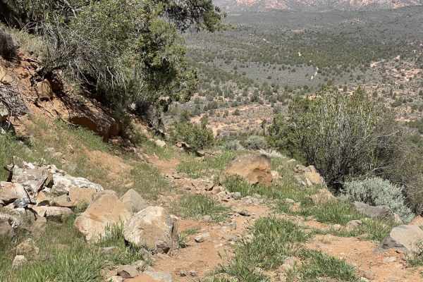 Coral Canyons Rocky Revenge