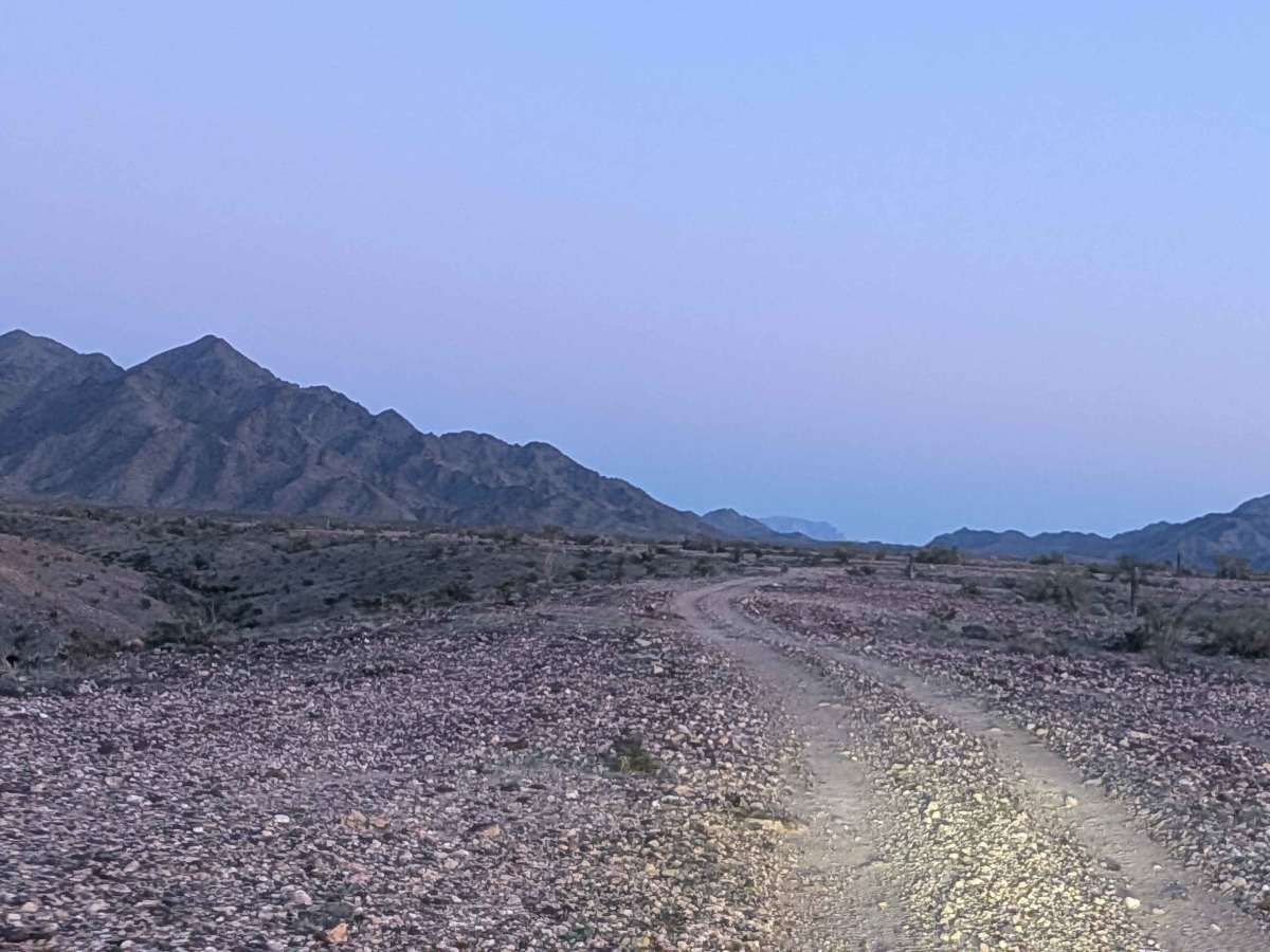 EC1262 photo 2