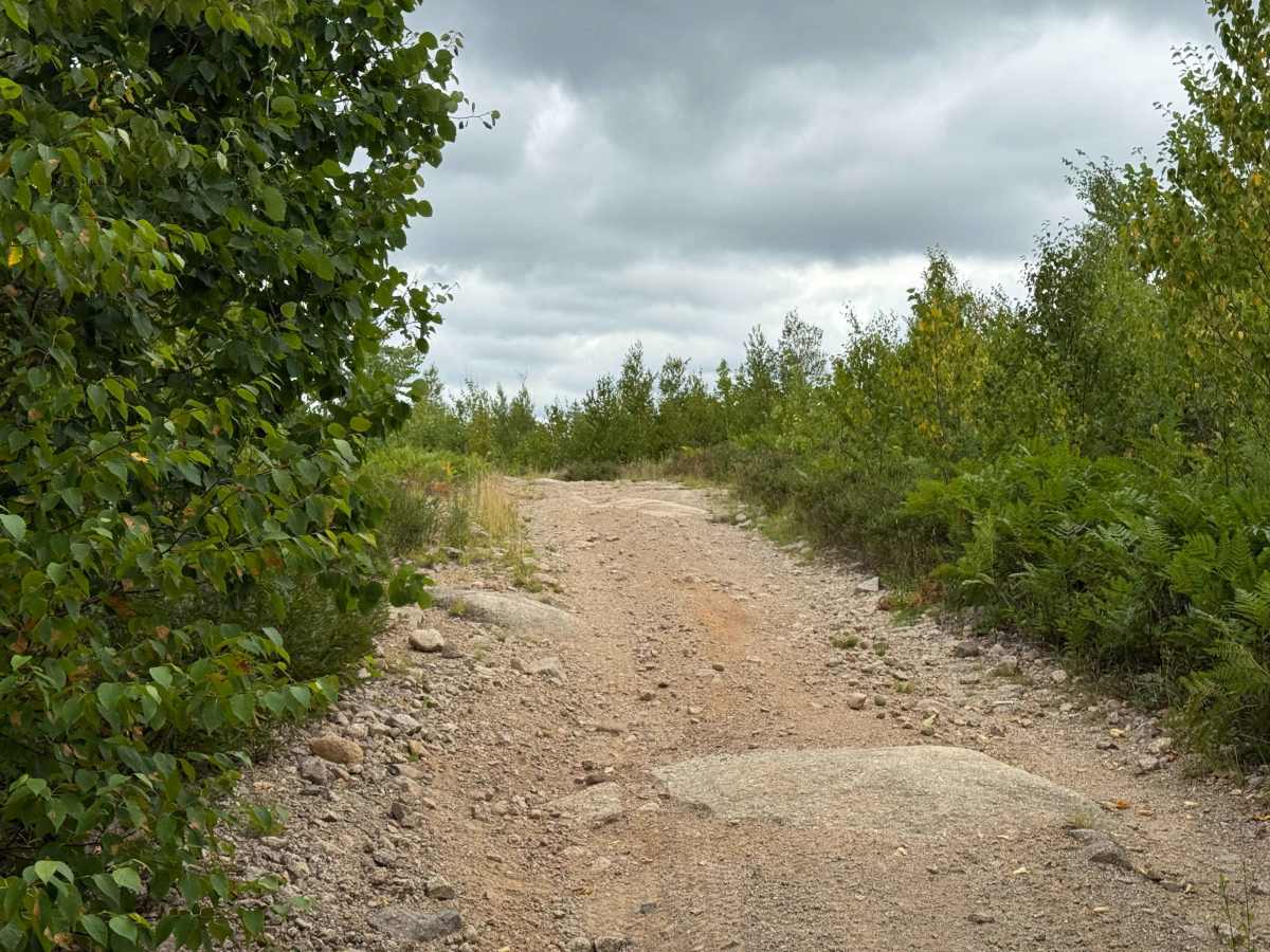 Trout Lake Road photo 5