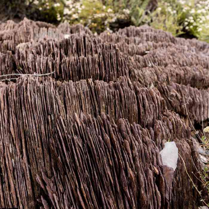 Near Quartz Loop Trail