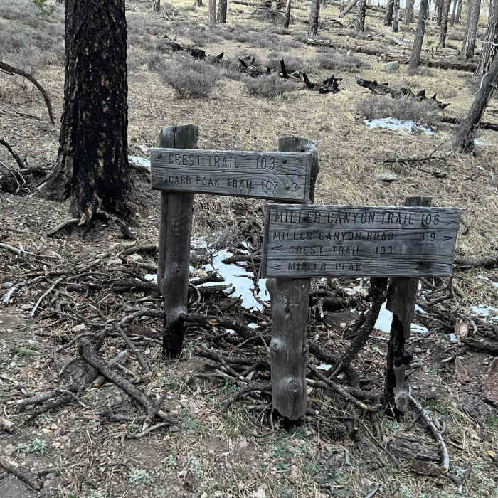Near Eureka Canyon Lollipop Loop
