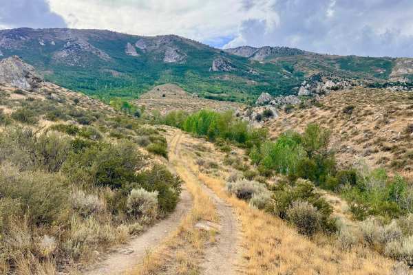 Tipton Canyon - FS 57831