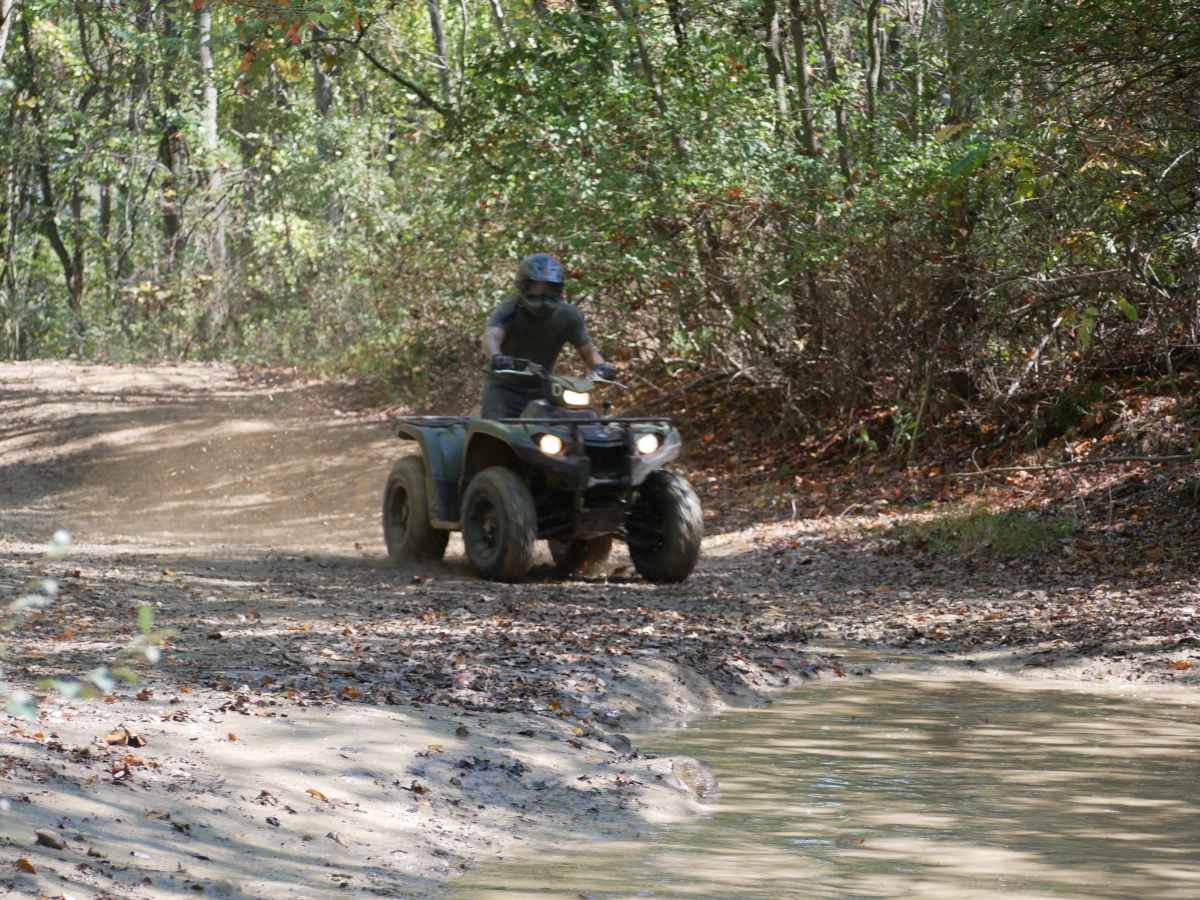 Mud Bog photo 4