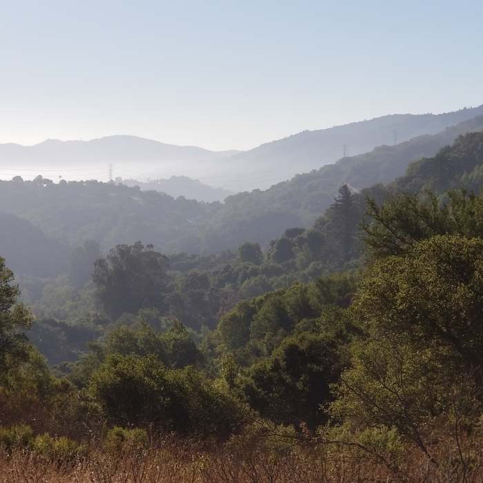 Near Zinfandel Trail