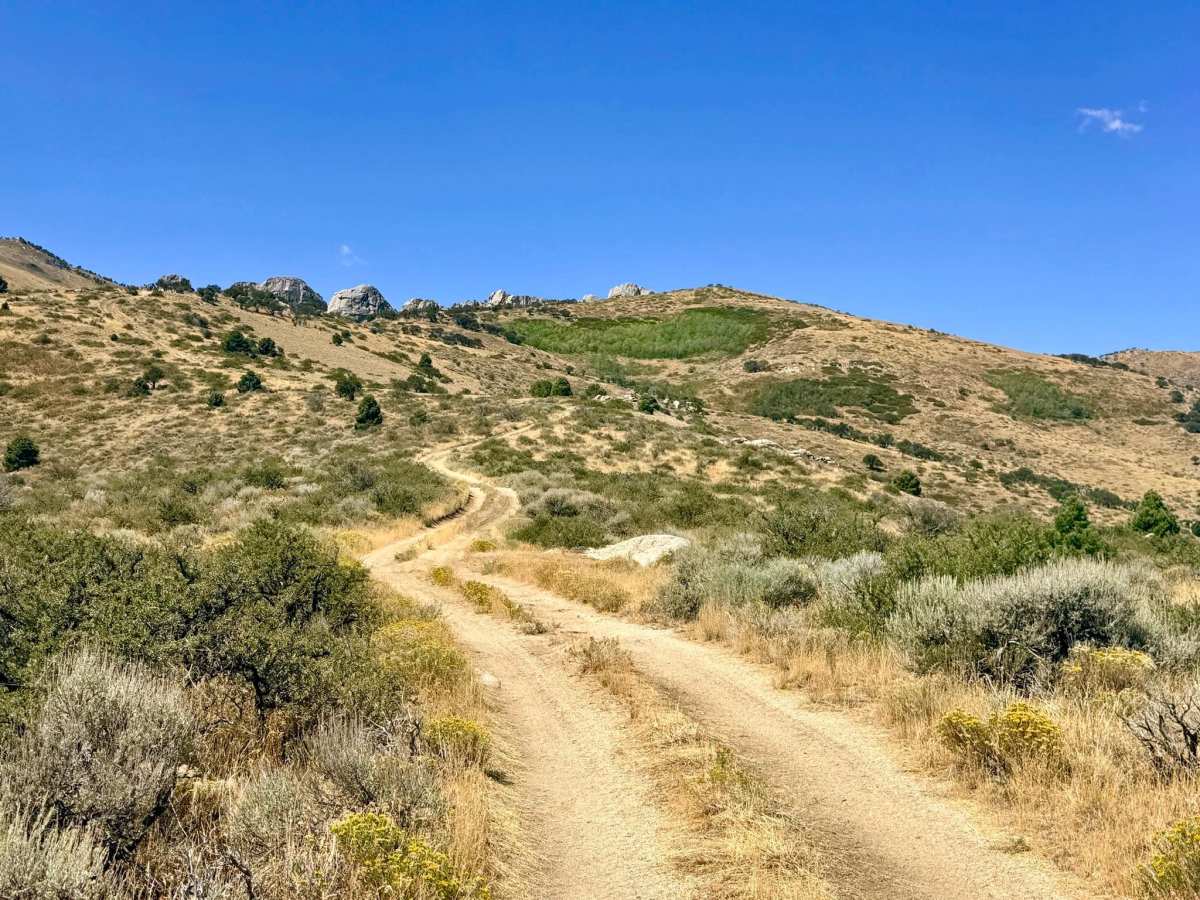  Lime Kiln Canyon - FS 57094 photo 6