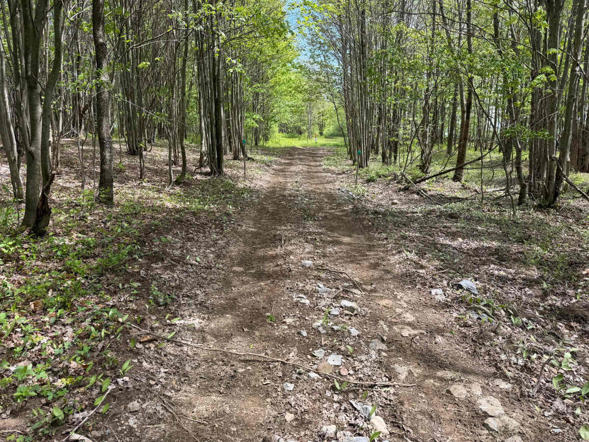 Grower Green Trail West photo 6