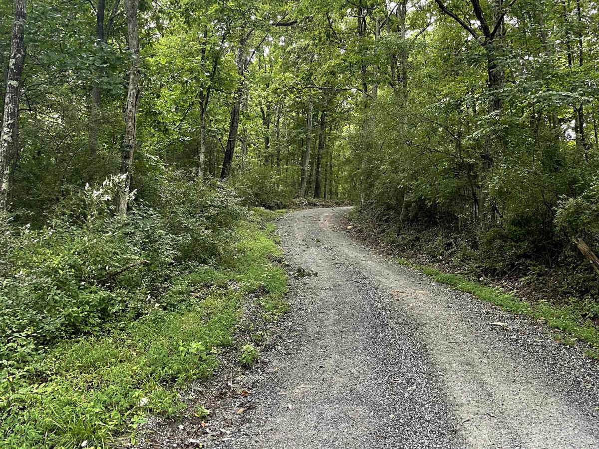 Fringer Trail photo 2