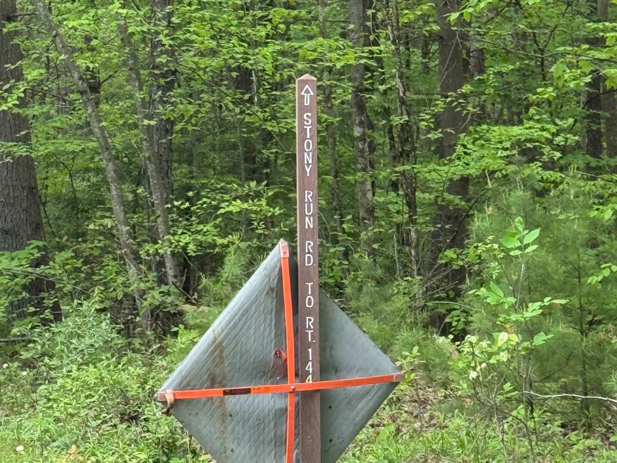 Stoney Run Road trail photo