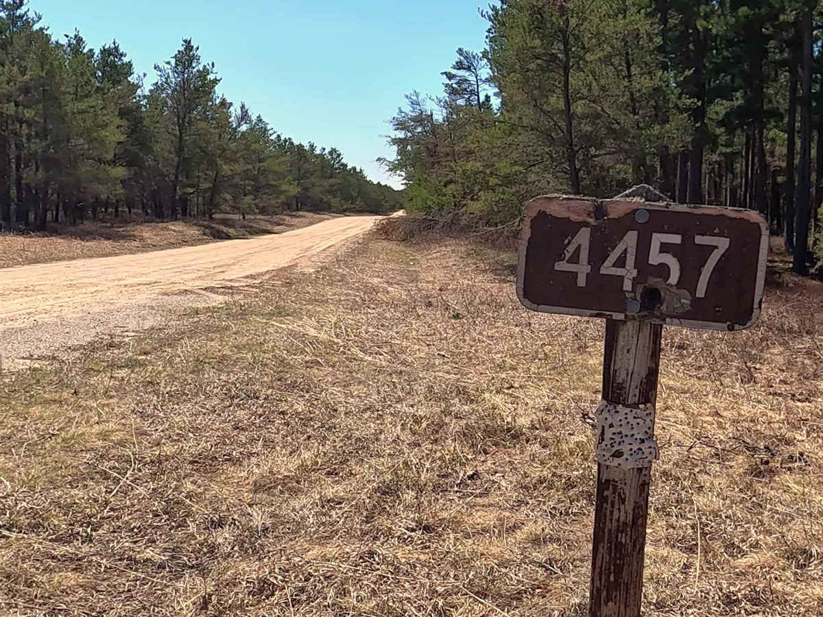 Hoy Road - FS 4457 trail photo