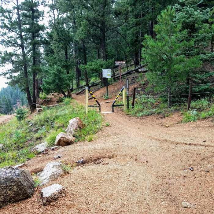 Near Mays Peak Ramble via Penrose Trail (#665)