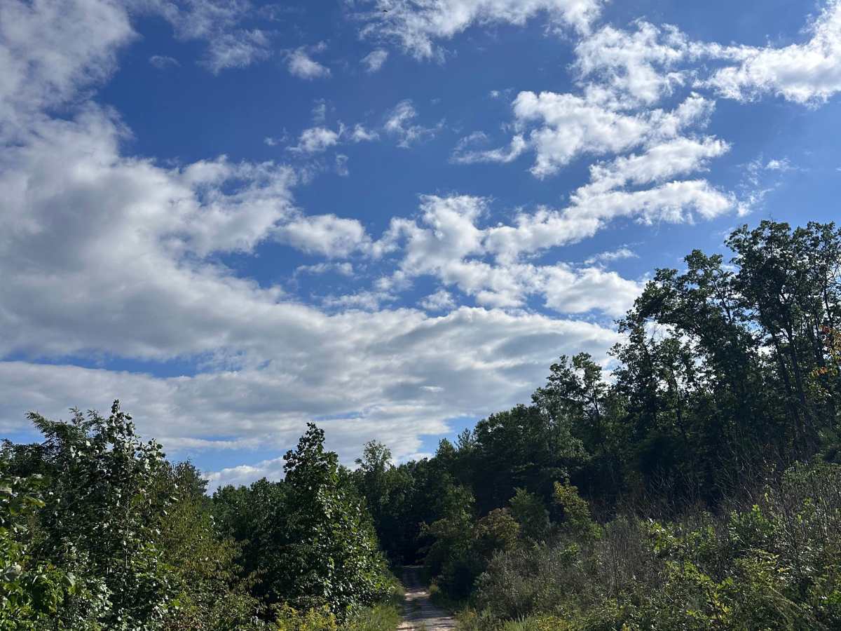 Limekiln trail photo
