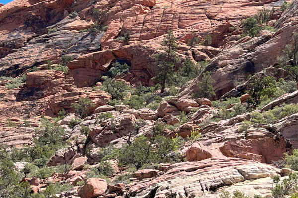 Motoqua - Lone Pine Arch