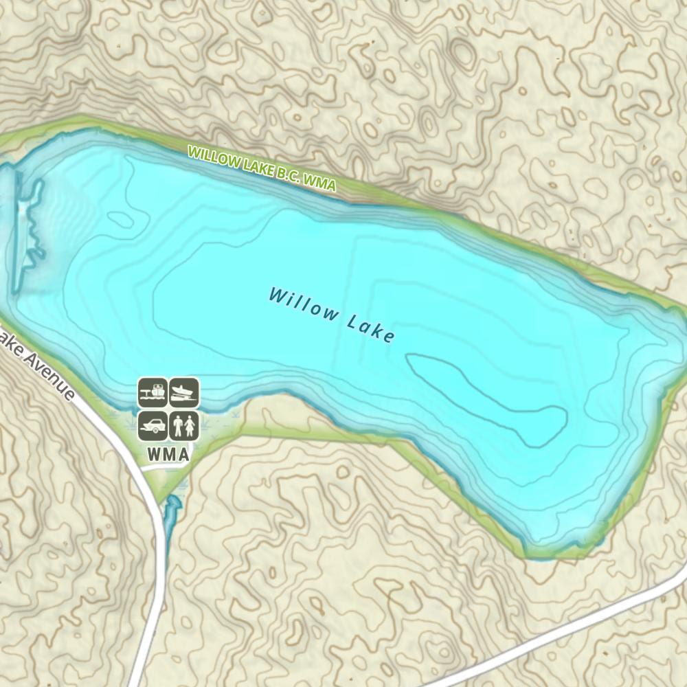 Willow Lake photo